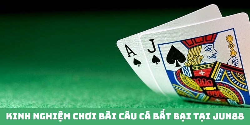 Bài Câu Cá - Game Giải Trí Thịnh Hành Top 1 Tại Jun88 6 Kinh nghiệm bạn cần lưu ý khi tham gia chơi bài Câu Cá